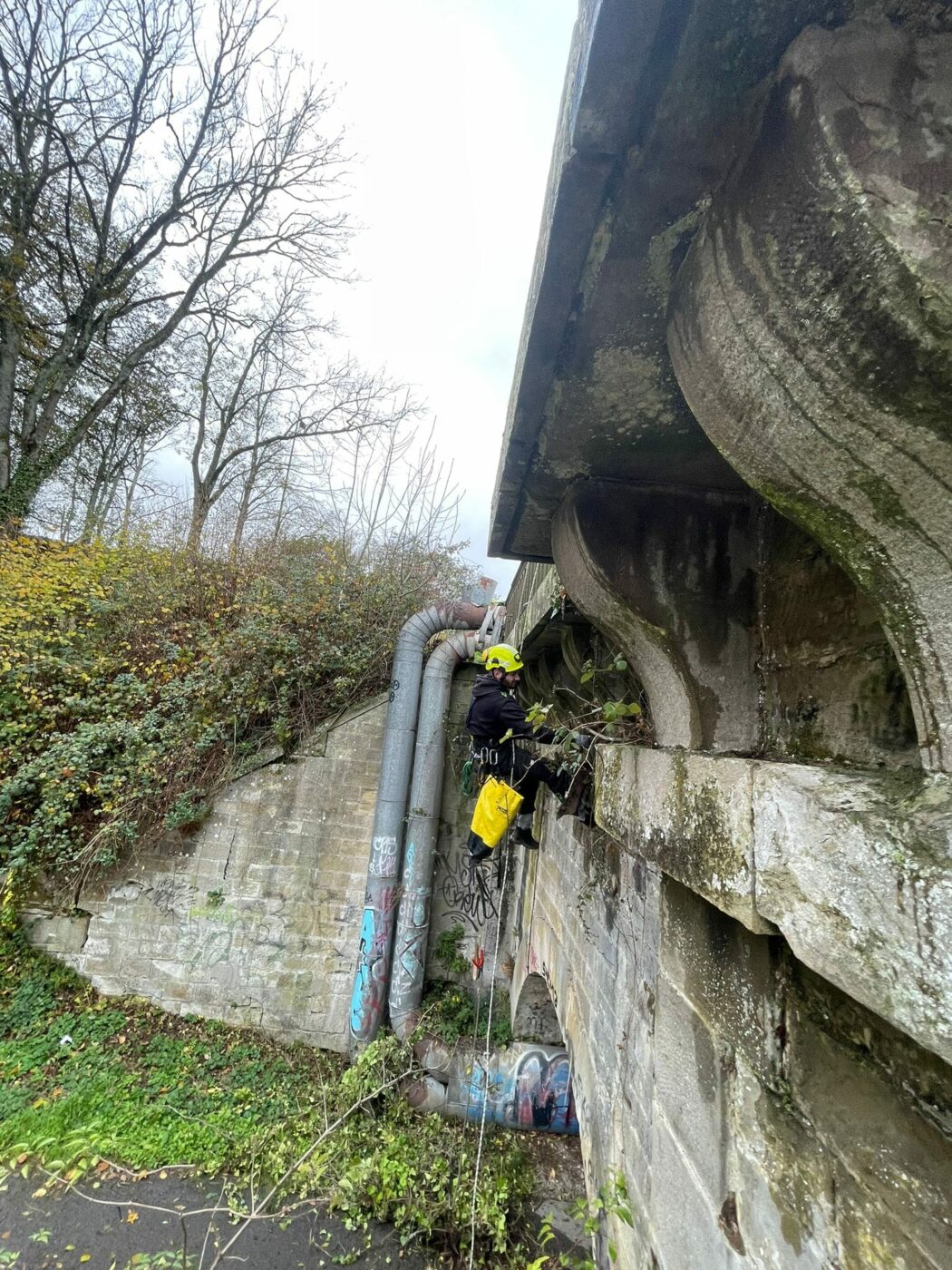 Dévégétalisation